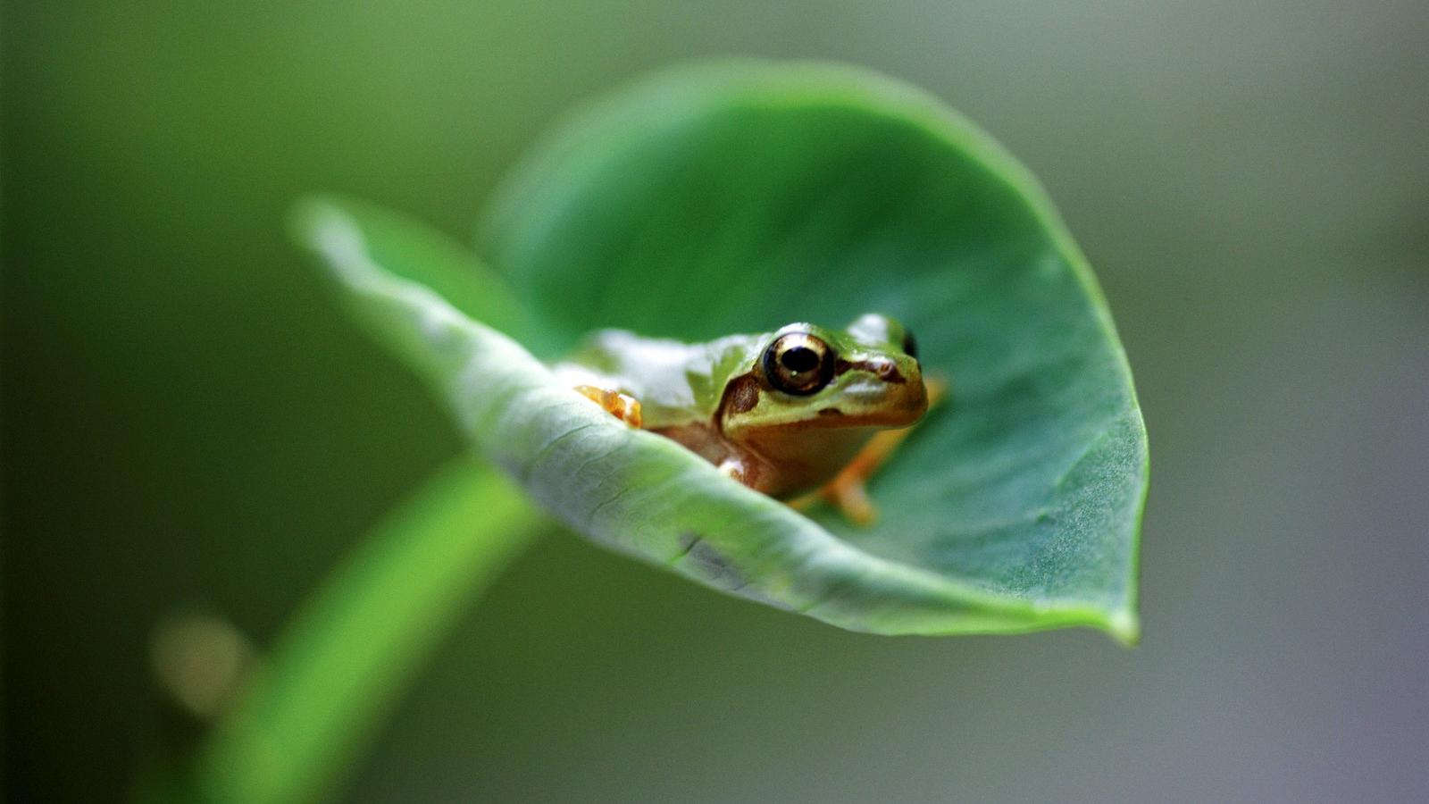 Illusztráció/Thinkstock