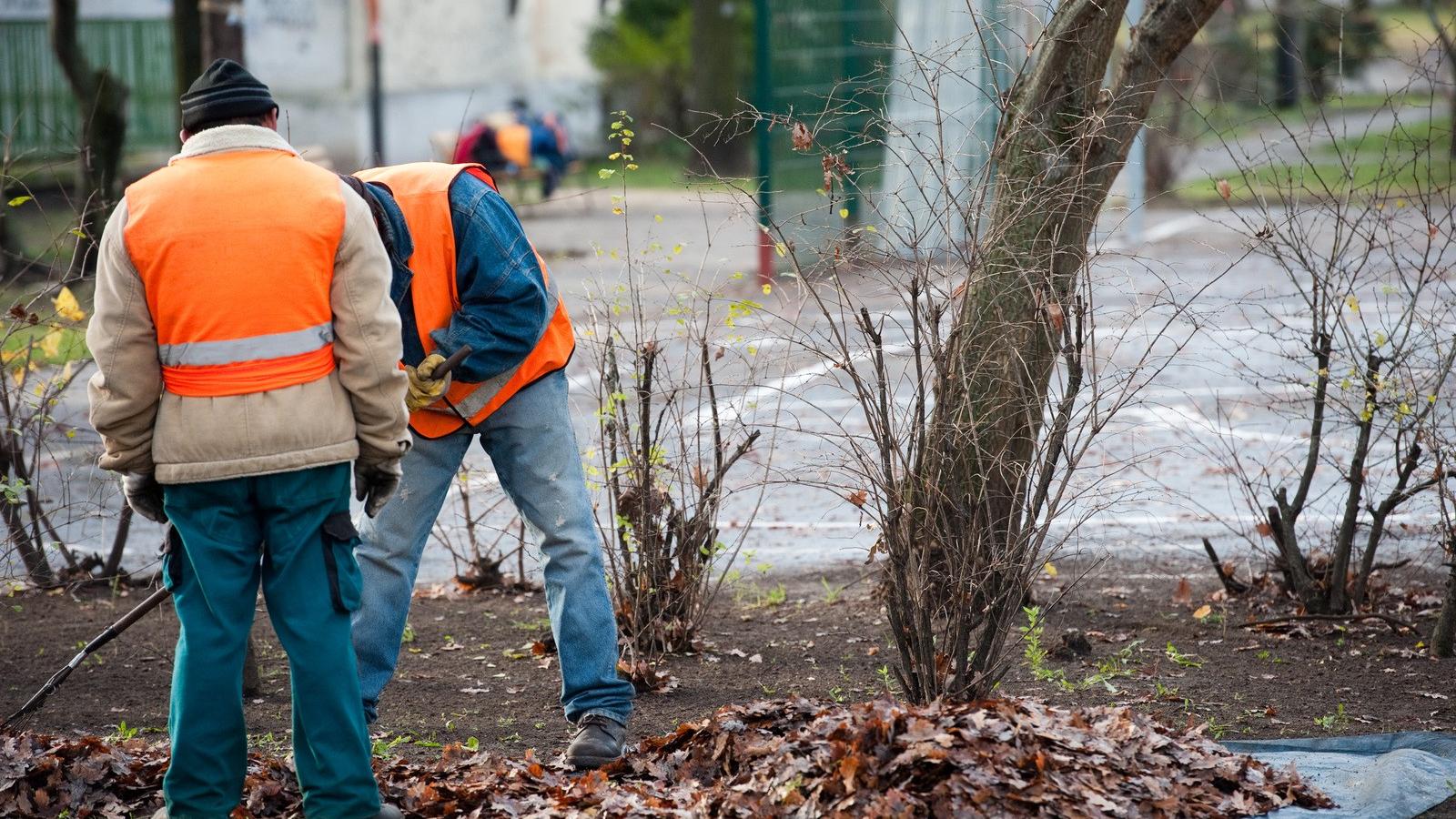 Sokaknak nem jut közmunka sem, így nem tudják igazolni az évi 30 nap munkavégzést, elesnek a szociális segélytől FOTÓ: TÓTH GERG