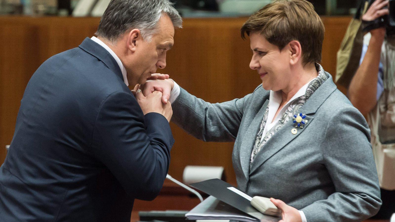 Orbán Viktor miniszterelnök kezet csókol Beata Szydlo lengyel kormányfőnek az Európai Tanács ülésén Brüsszelben 2015. december 1