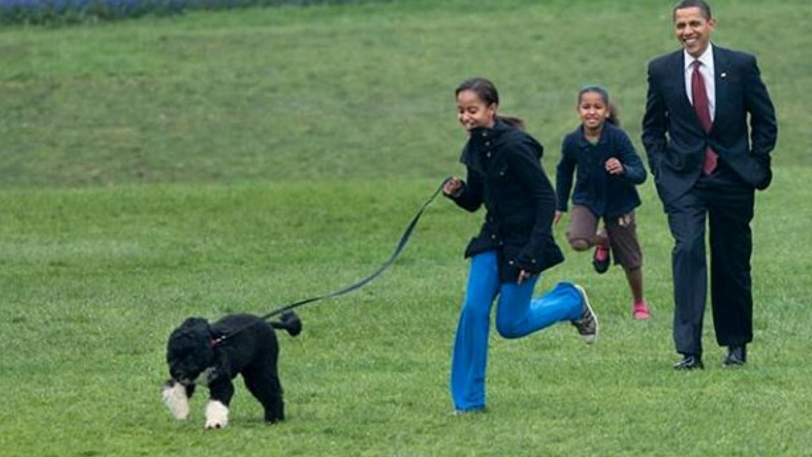 Az elnökkel és lányaival boldogan futkározó Bo - Fotók: Barack Obama közszereplő/Facebook