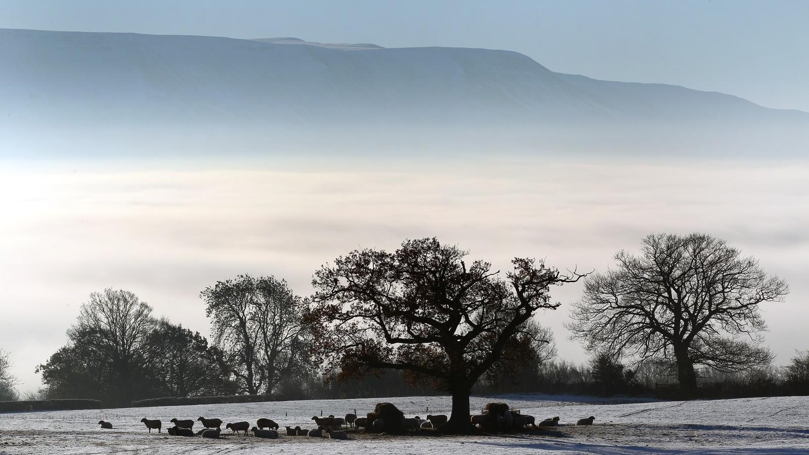 Fotó: Stu Forster/Getty Images