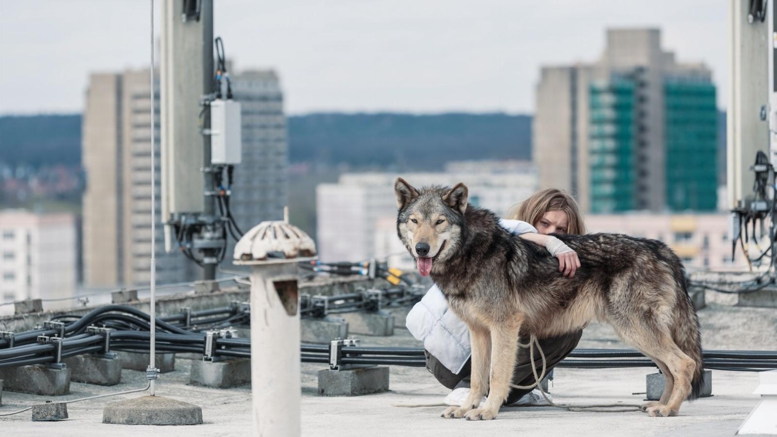 A Vad című film hőse
FORRÁS: SZEMREVALÓ