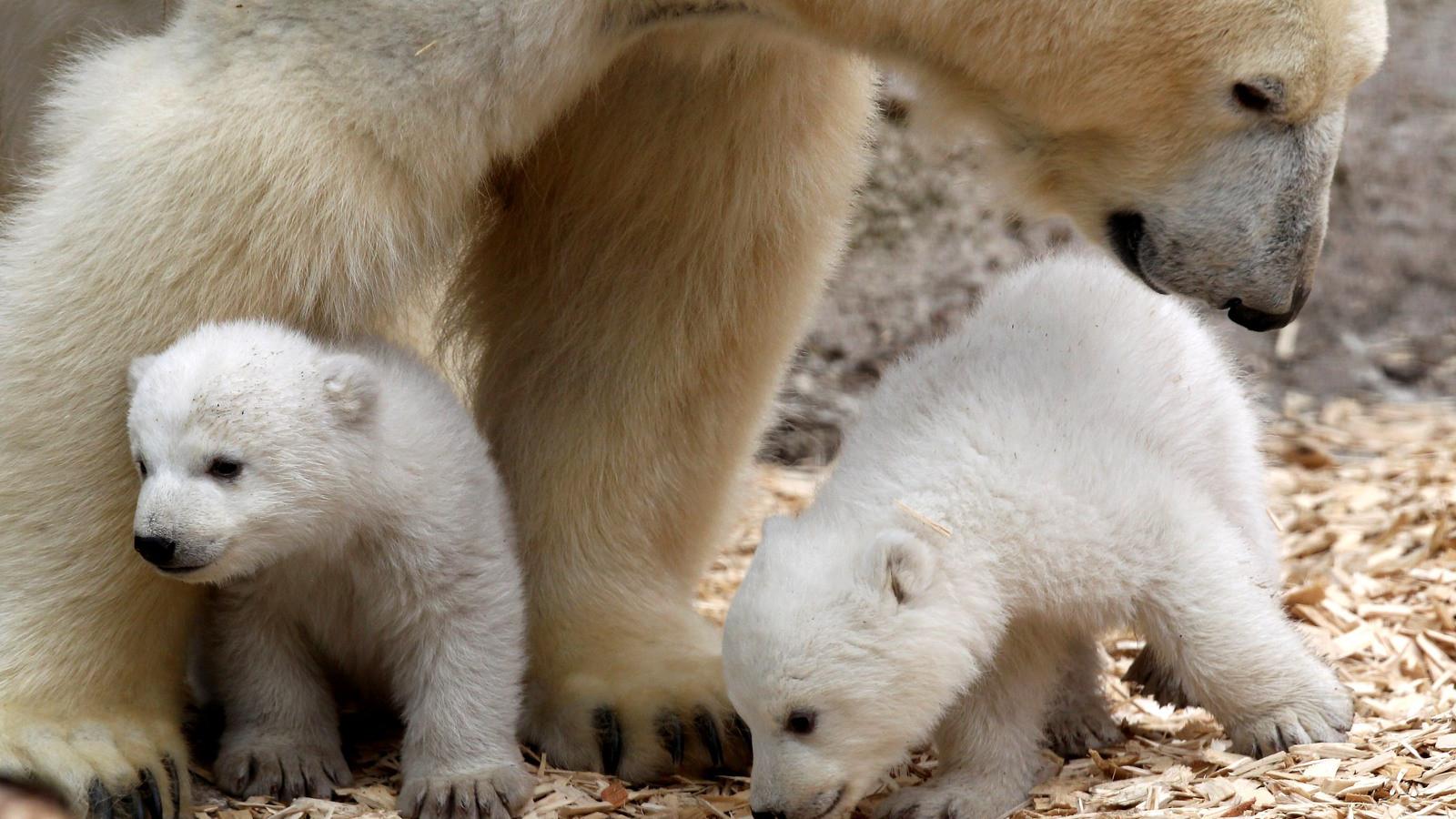 Fotó: Alexandra Beier/Getty Images