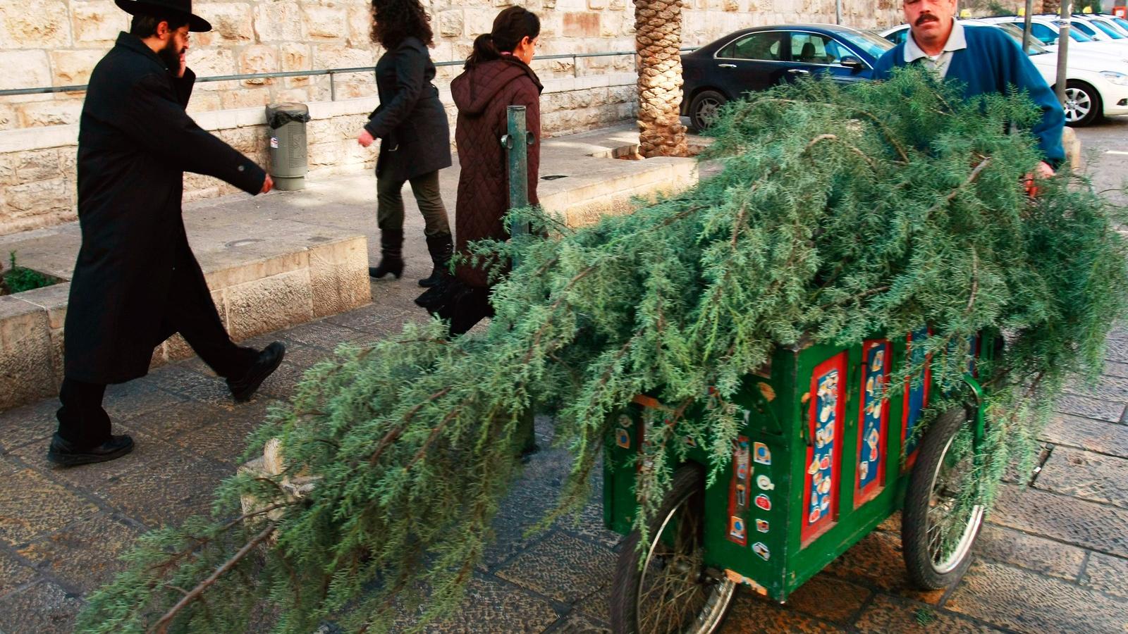 FOTÓ: EUROPRESS/GETTY IMAGES/DAVID SILVERMAN