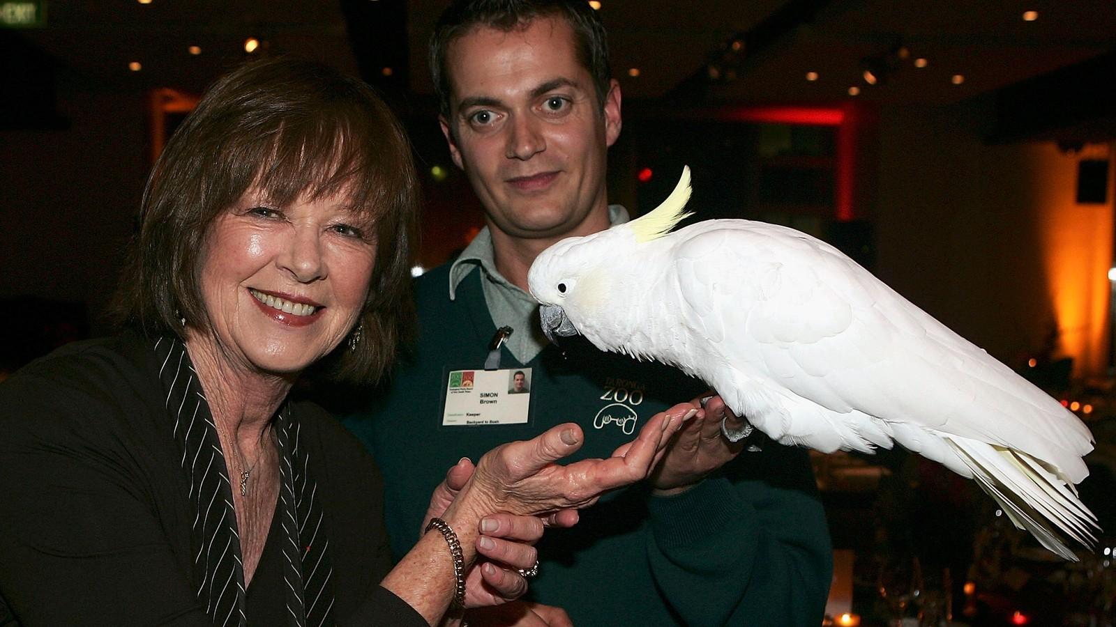 A Taronga Zoo Alapítvány adománygyűjtő vacsorájának sztárja Eliot, a fehér kakadu volt. FOTÓ: Getty Images, Patrick Riviere