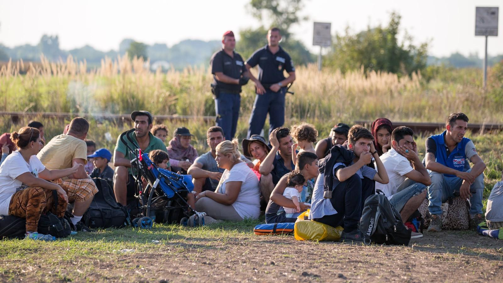 Fotó: Matt Cardy/Getty Images 