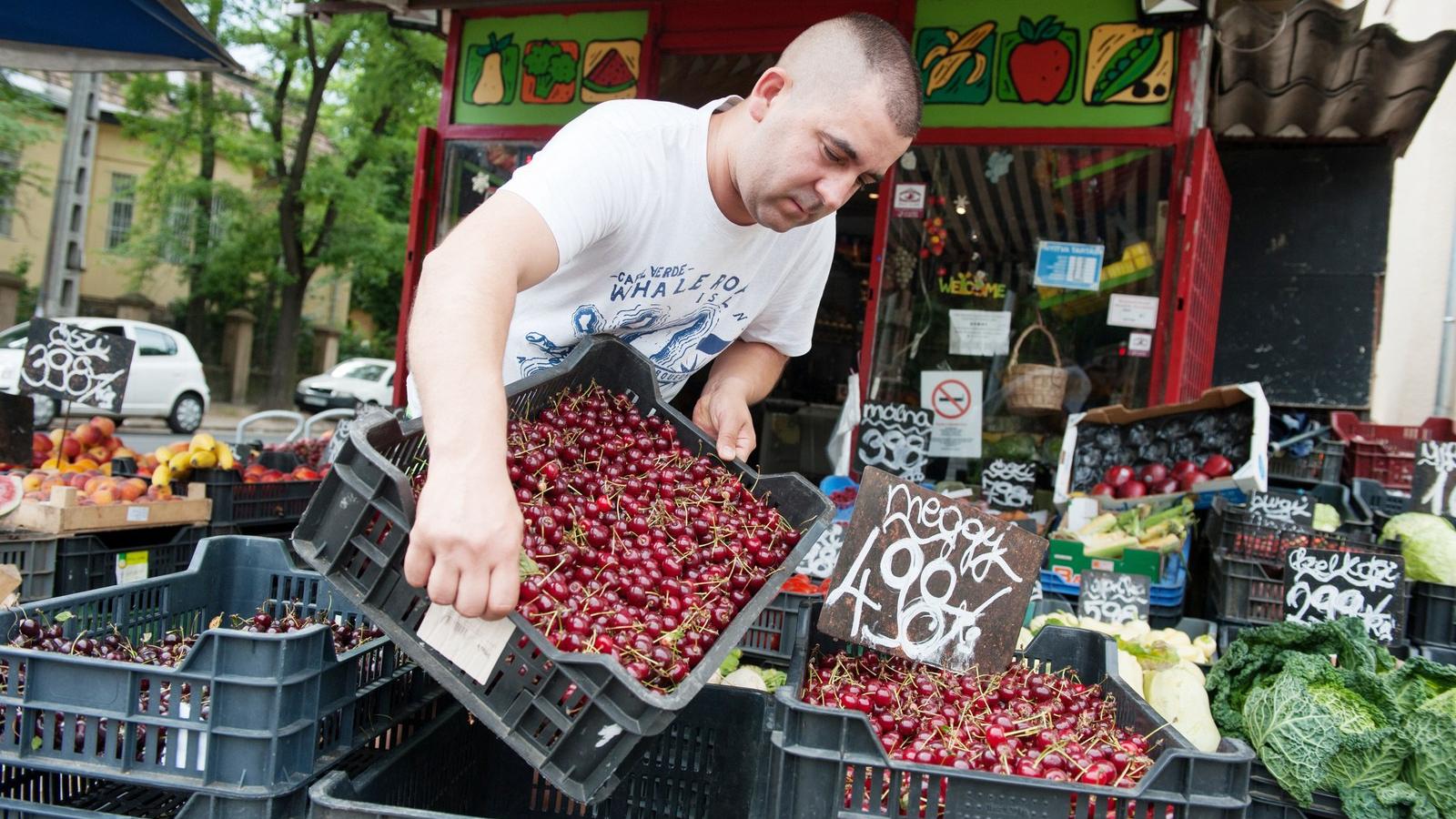 Bizalom - A termelők és a felvásárlók pénze is a gyümölcsfeldolgozó fizetési hajlandóságán múlik - Fotó: Népszava/Tóth Gergő 