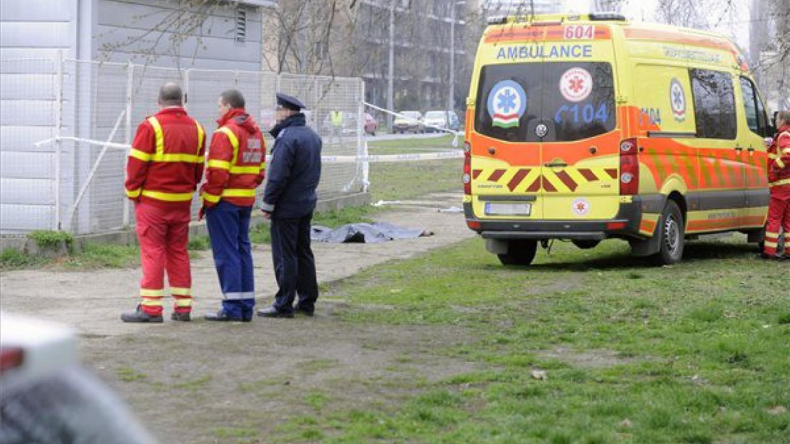 Letakart holttest Budapest X. kerületében a Száva utca és Zágrábi utca kereszteződéséhez közeli, félreeső területen 2014. márciu