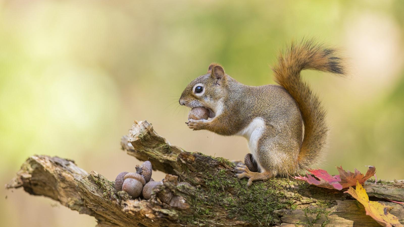 Fotó: Shutterstock