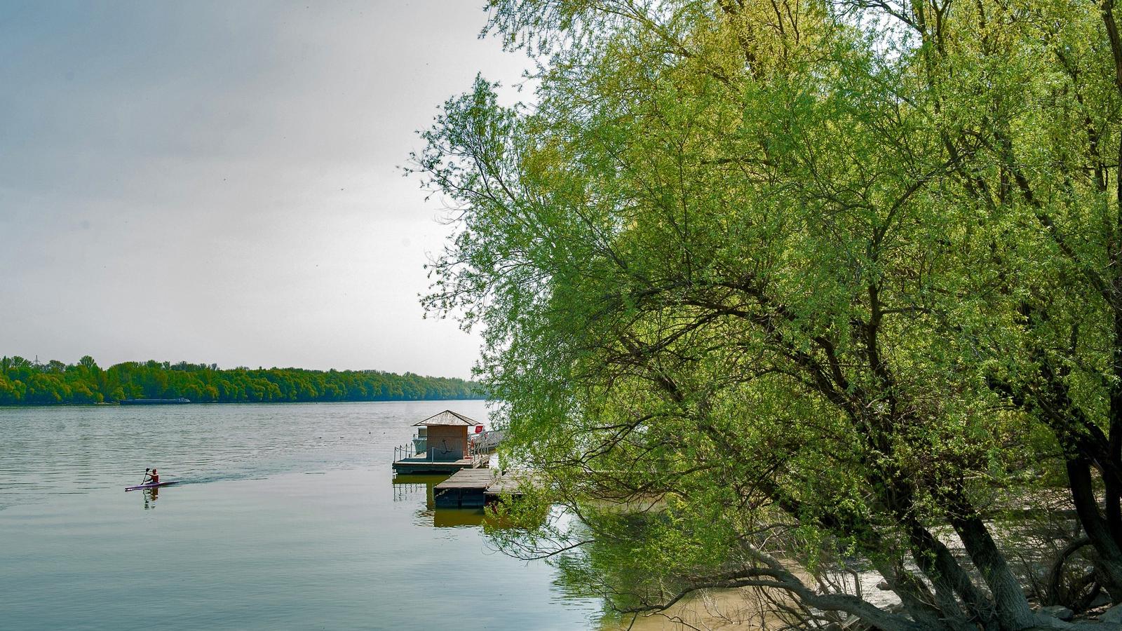 FOTÓ: Molnár Ádám/Népszava