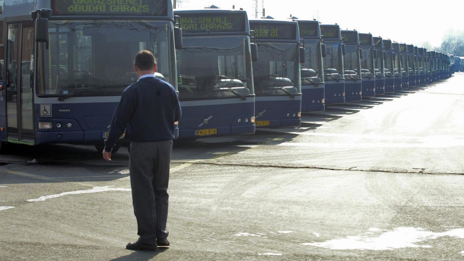 Tavaly év végén 2100 buszsofőr dolgozott a BKV-nál, és ebben az üzletágában 250-300 vezető hiányzott. FOTÓ: Szalmás Péter