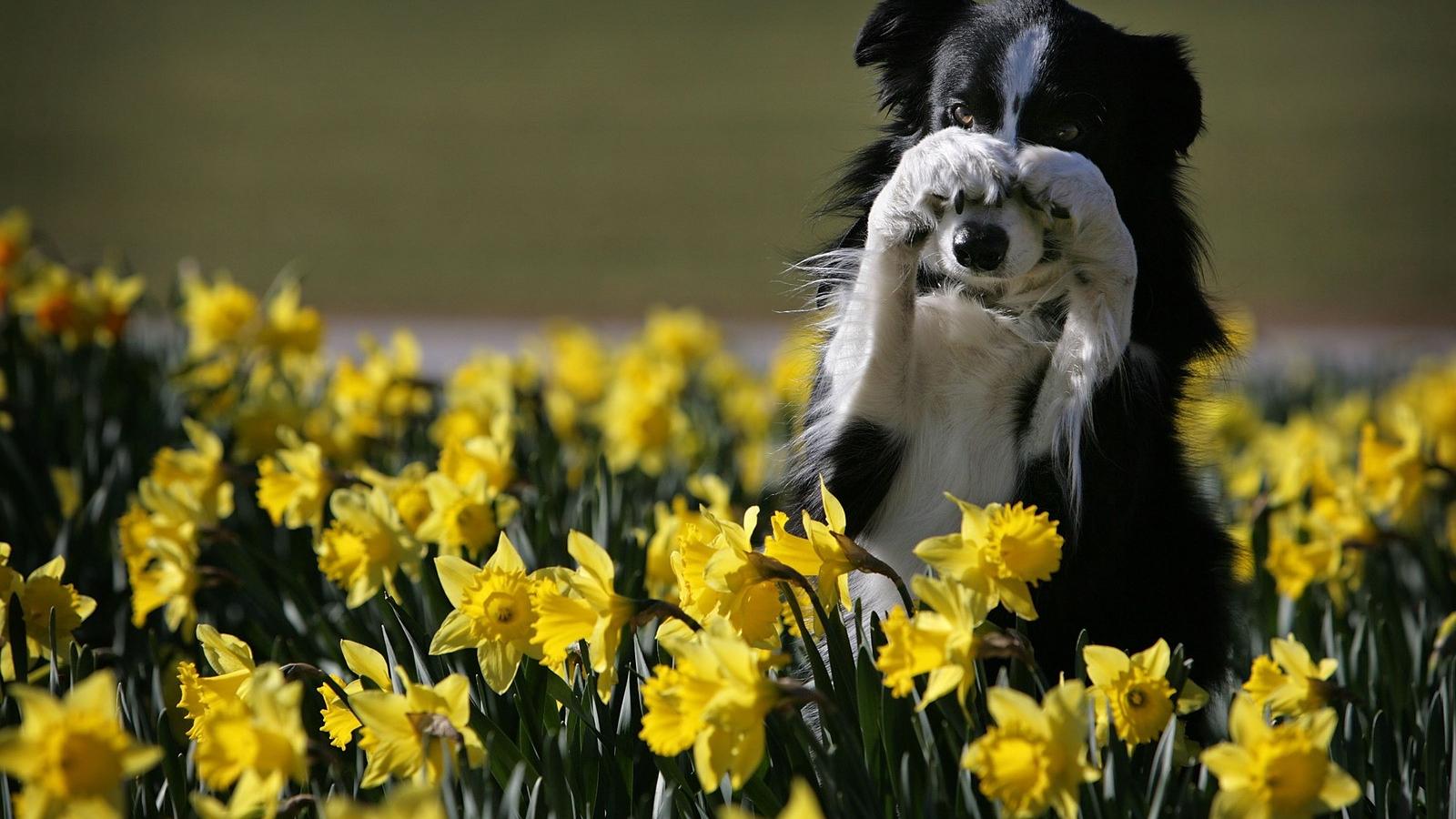 Fotó: Christopher Furlong, Getty Images.