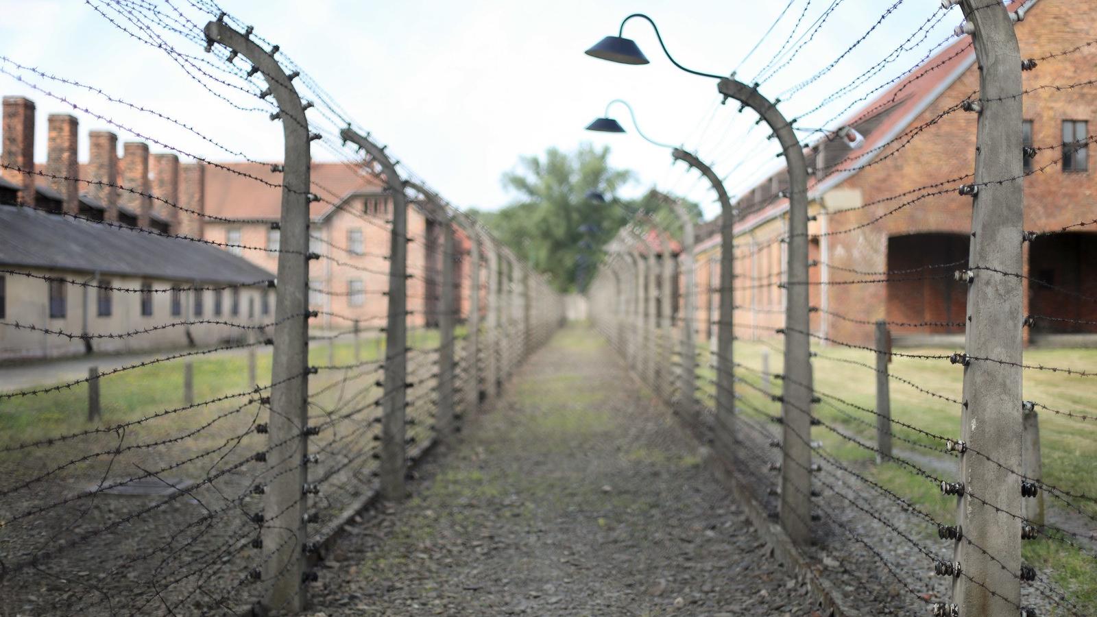 Auschwitz - AFP fotó