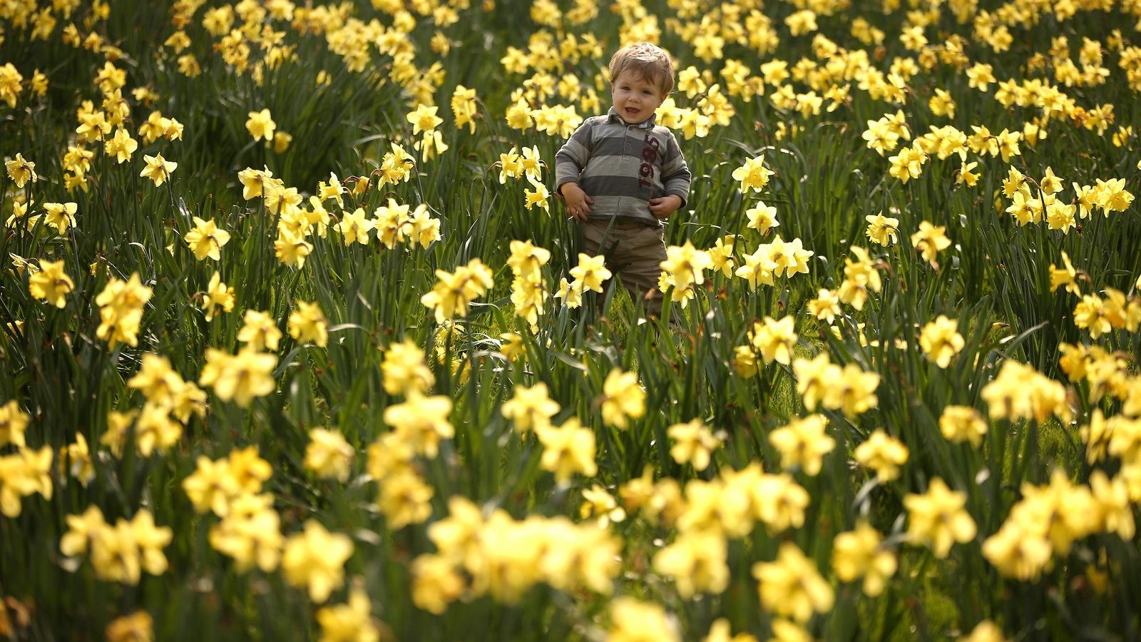 Fotó: Peter Macdiarmid, Getty Images.