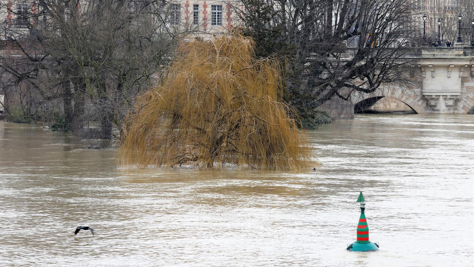 FOTÓ: GEOFFROY VAN DER HASSELT / AFP