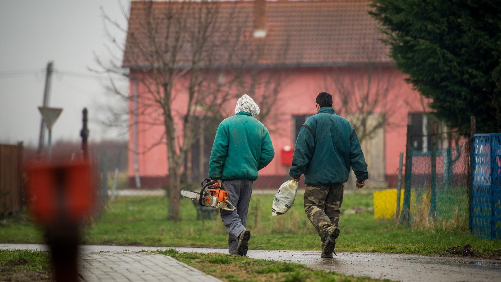 Közmunkások. Illusztráció: Népszava