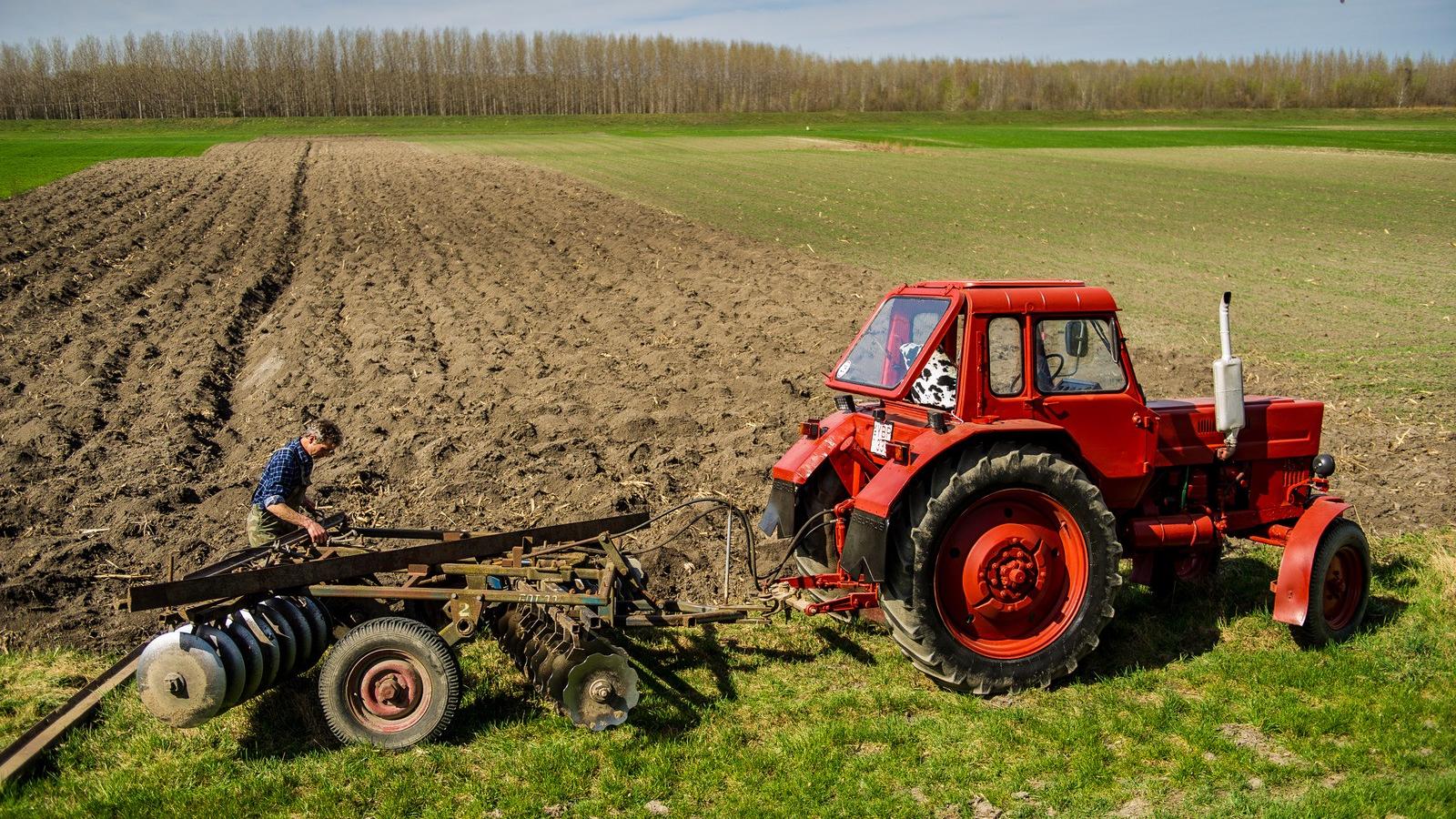 VESZÉLYBEN Ha az agrártámogatások csökkennek, akkor több gazdaság is
tönkremehet FOTÓ: Németh András Péter