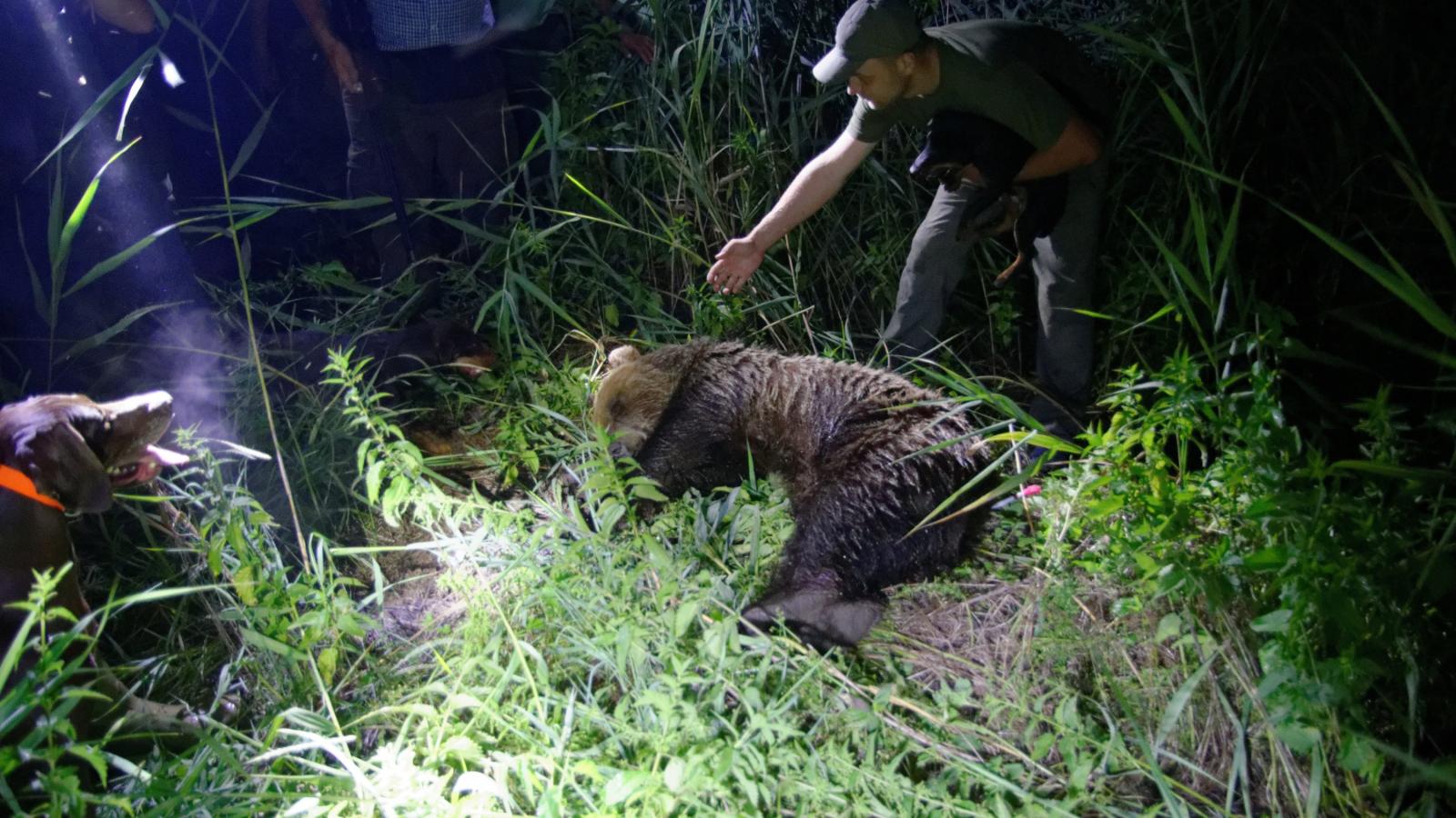 FOTÓ: Kiskunsági Nemzeti Park