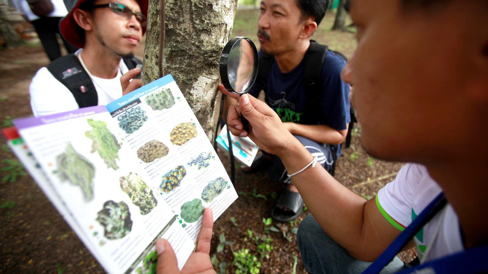 BioBlitz Bangkokban
Illusztráció: AFP