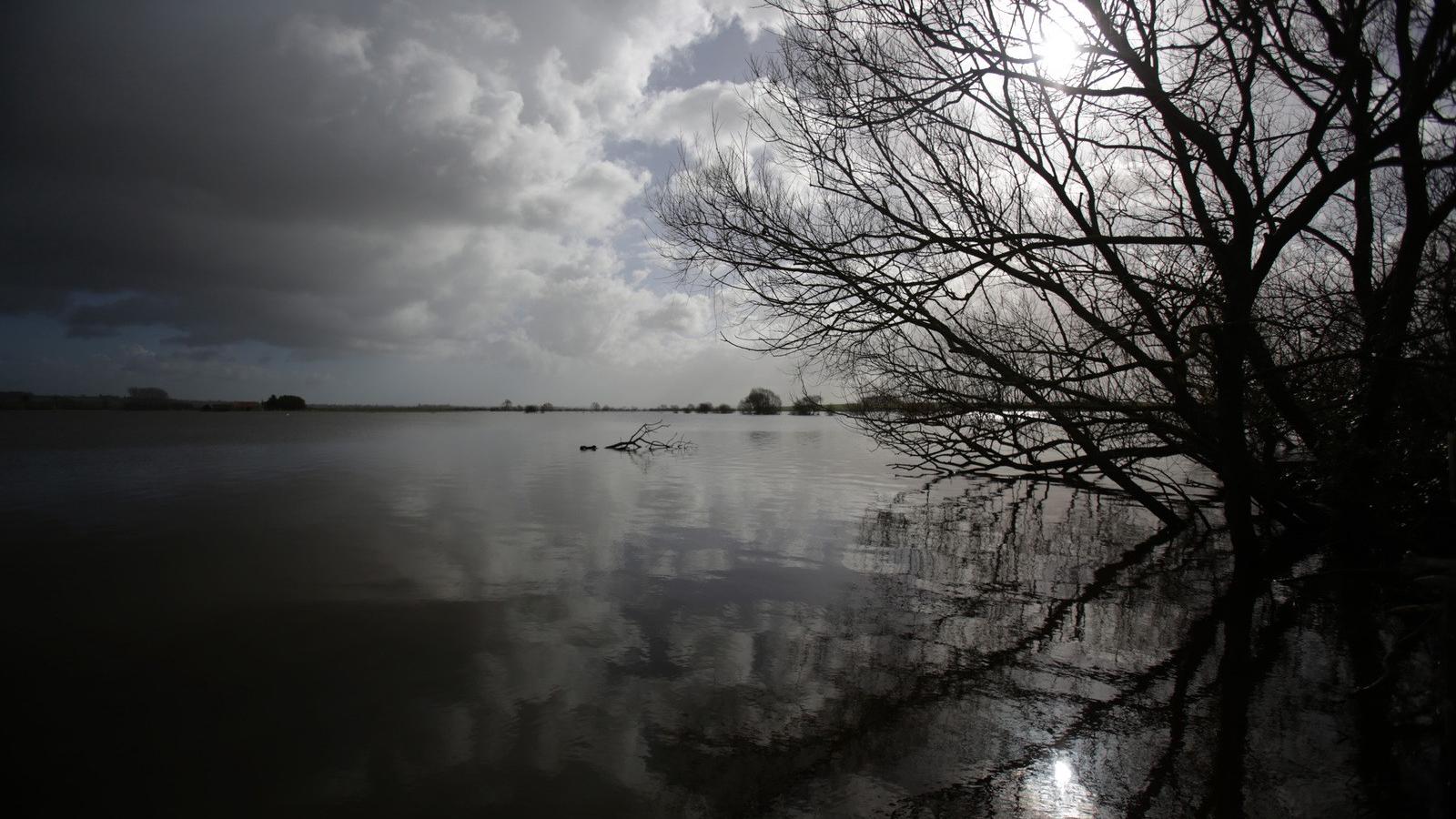 Fotó: Matt Cardy, Getty Images