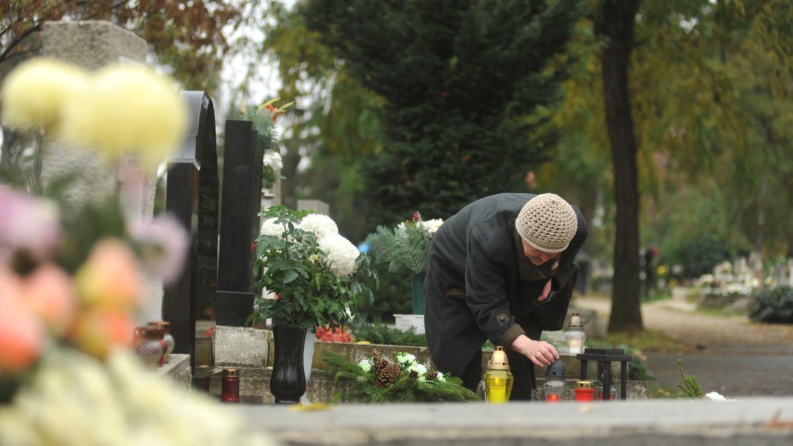 Képünk illusztráció. Fotó: Tóth Gergő