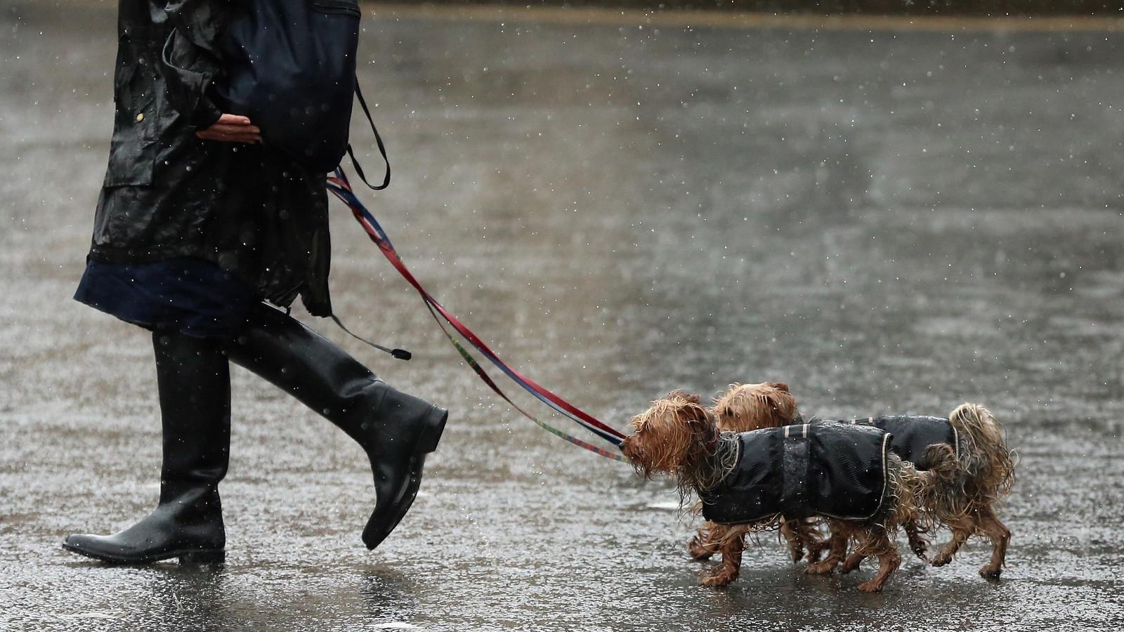 Fotó: Christopher Furlong / Getty Images