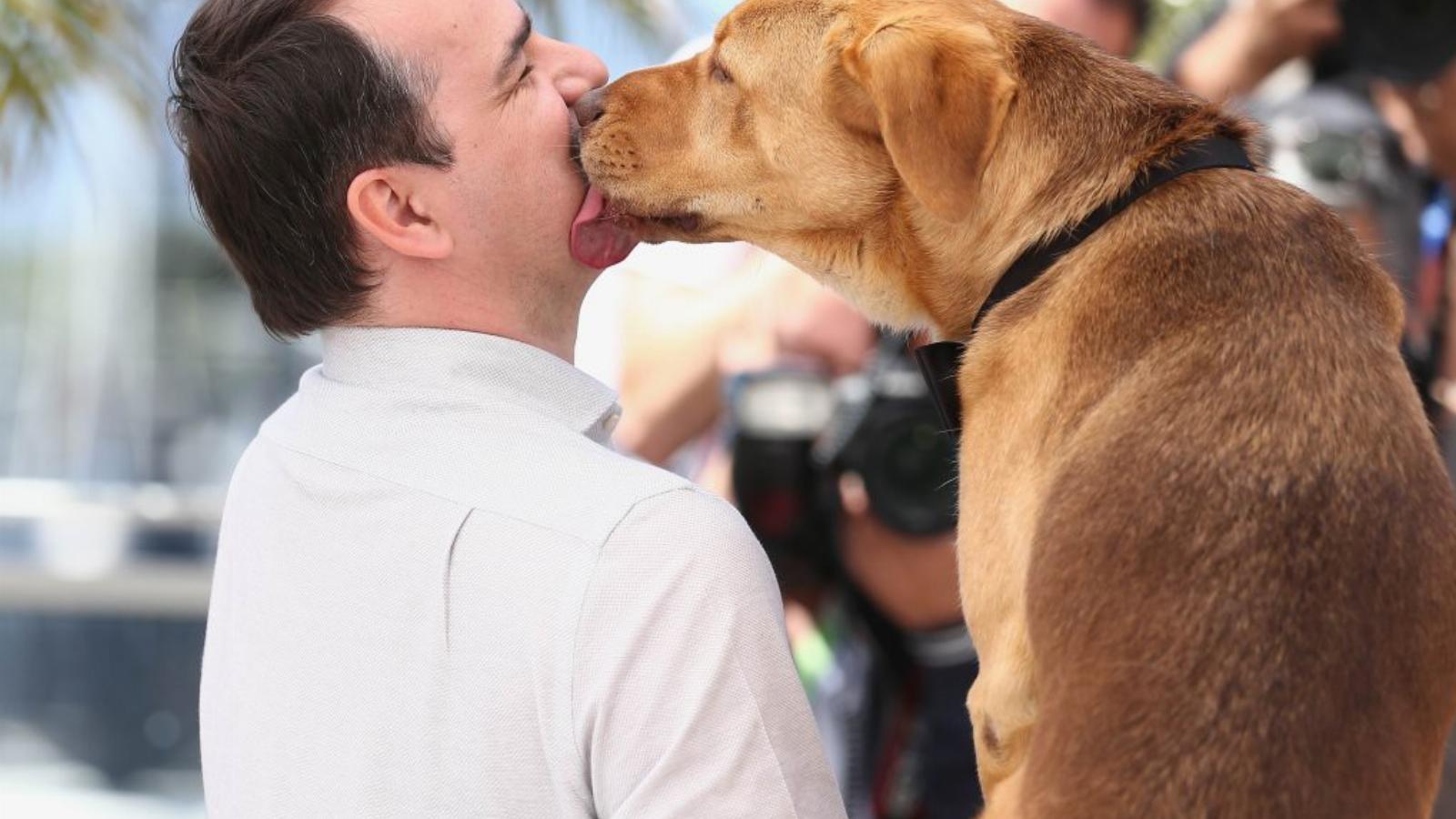 Meghitt pillanat Cannes-ban Mundruczó Kornél új filmjének egyik főszereplőjével FOTÓ: EUROPRESS/GETTY IMAGES/ANDREAS RENTZ