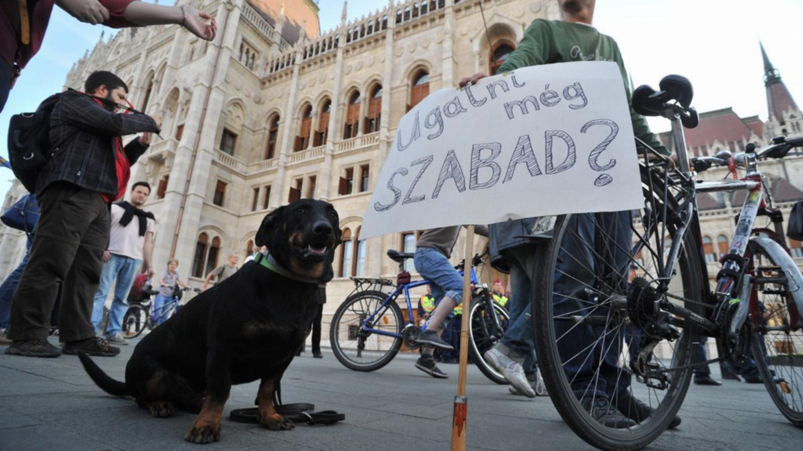 A keddi szolidaritási tüntetés Fotó: BIELIK ISTVÁN, Népszava