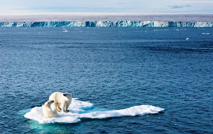 Fotó: Florian Schulz/Polar Bear WWF/Facebook