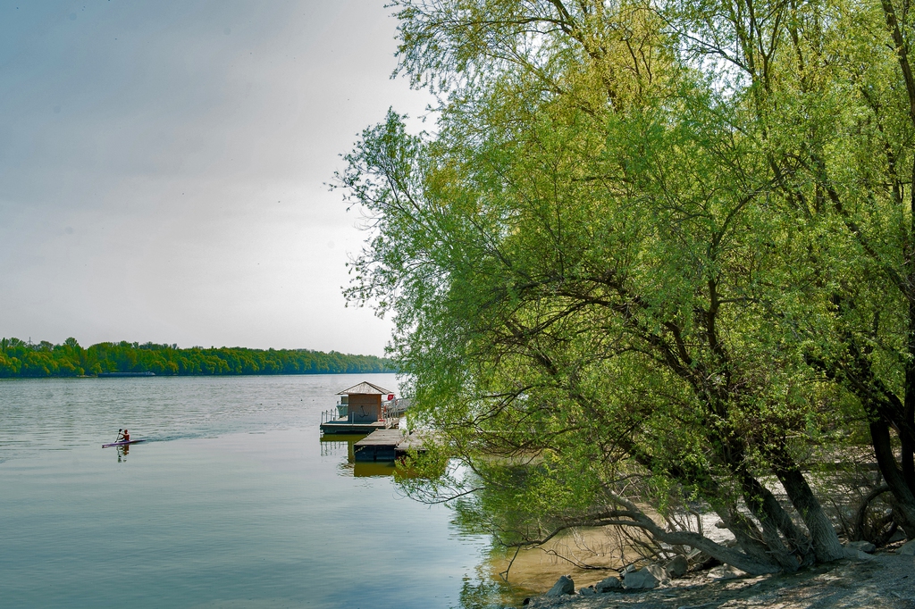 FOTÓ: Molnár Ádám/Népszava