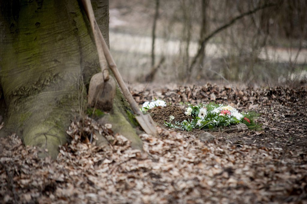 MTI Fotó: Krizsán Csaba