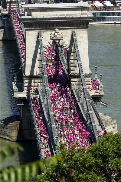 MTI Fotó: Szigetváry Zsolt