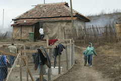 Népszava fotó/Vajda József